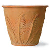Fern Planters (4649501491260)