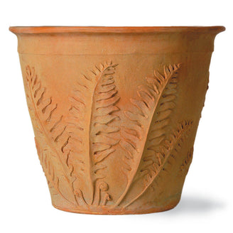 Fern Planters (4649501491260)