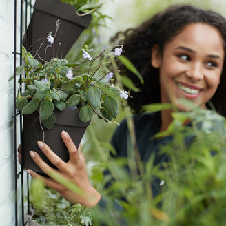 Urban Display Plant Wall Frame (4651906891836)