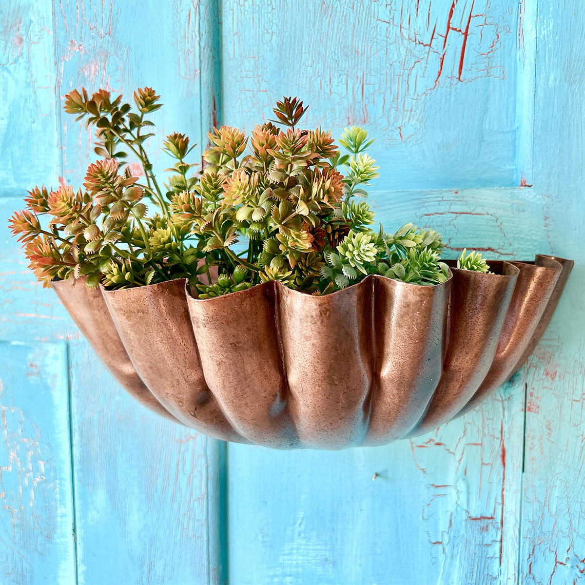 copper hanging planter uk Buy Copper Shell Shaped Wall Planter — The Worm that Turned