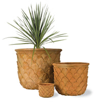 Pineapple Planter (4649539633212)