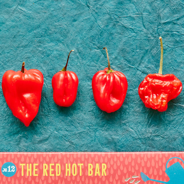 The Red Hot Seed Bar (6952932933692)