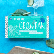 The Gin Bar Seeds