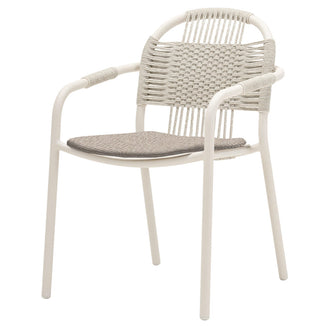 Cleo Dining Chairs (7124729135164)