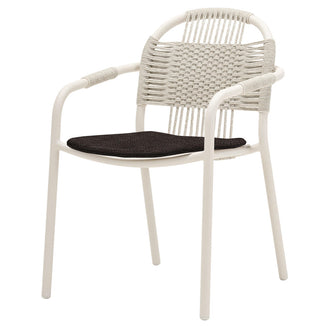 Cleo Dining Chairs (7124729135164)