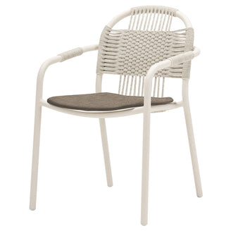 Cleo Dining Chairs (7124729135164)
