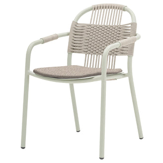Cleo Dining Chairs (7124729135164)