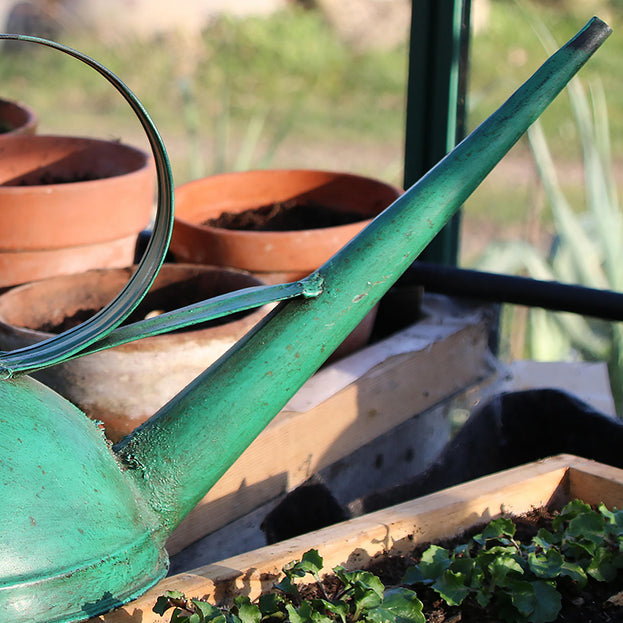 Rustic Painted Greenhouse Watering Can (7117854572604)