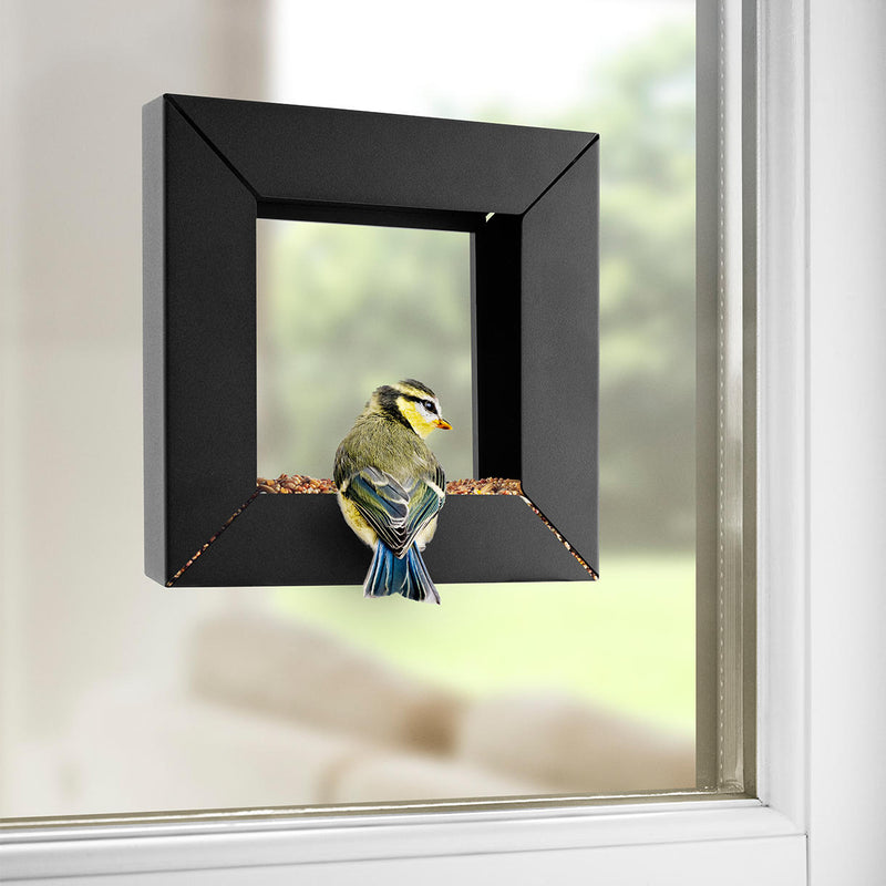 /products/picture-frame-bird-feeder
