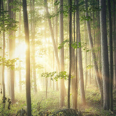 Fermob Trends 2025 - Natural Glow