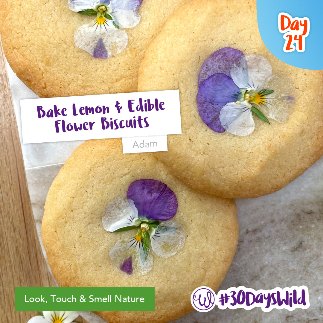 How to make lemon and edible flower biscuits Beginner Friendly! — The