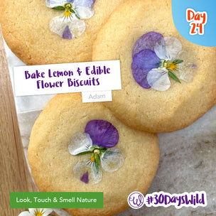 How to make lemon and edible flower biscuits - Beginner Friendly!