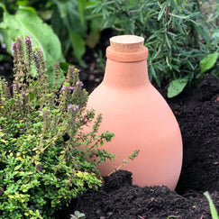 10 Essentials for Spring Gardening