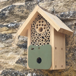 How to Attract Birds and Bees to your Outdoor Space for #30DaysWild
