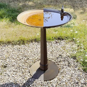 How to Look After a Rusty Cast Iron Bird Bath