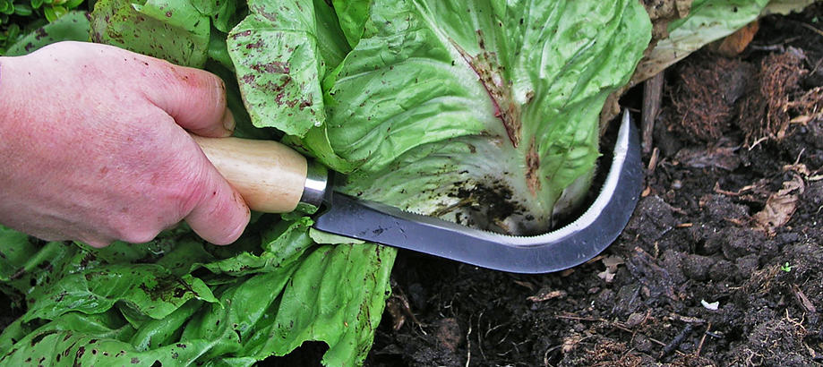 Small Hand Tools — The Worm that Turned - revitalising your outdoor space