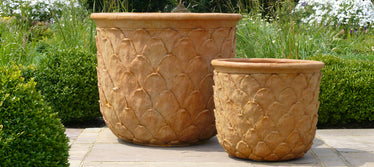 Large Outdoor Planters