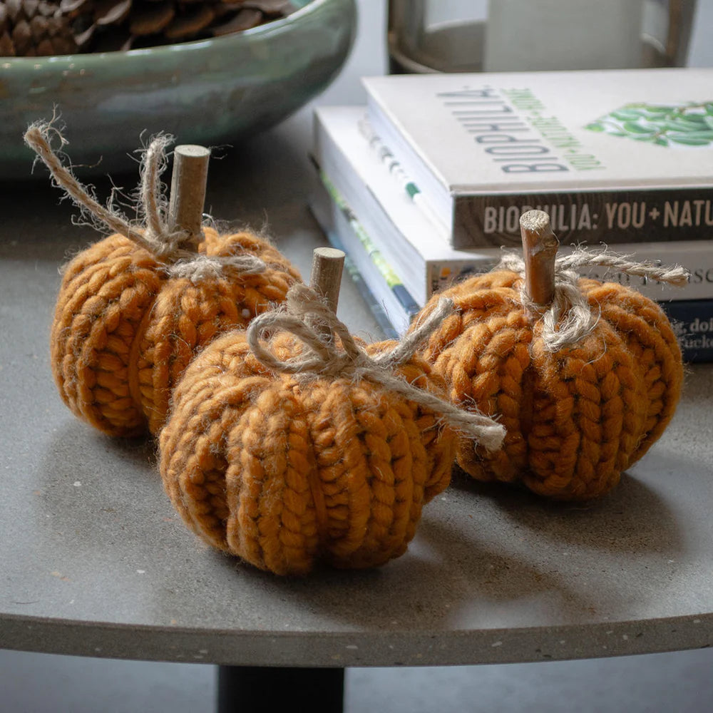 Halloween Décor — The Worm that Turned - revitalising your outdoor space