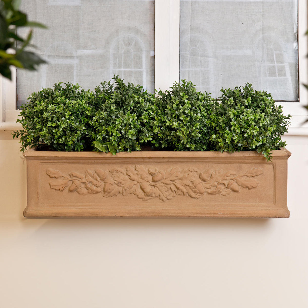 Buy Oak leaf Window Boxes — The Worm that Turned - revitalising your ...
