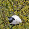 Hanging Sheep with Nesting Wool