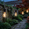 20 Connectable LED Spiral Filament Festoon Lights