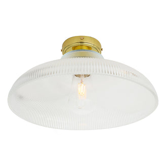 Aquarius Outdoor Semi Flush Ceiling Light