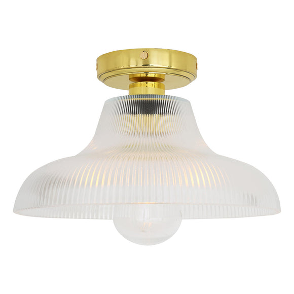 Aquarius Outdoor Semi Flush Ceiling Light