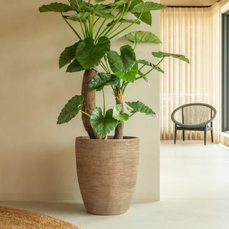 Saya Oval Terracotta Planter