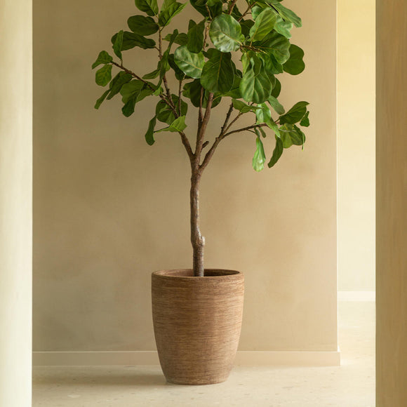 Saya Oval Terracotta Planter