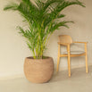 Saya Round Terracotta Planter - Set of 2