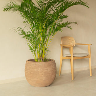Saya Round Terracotta Planter - Set of 2