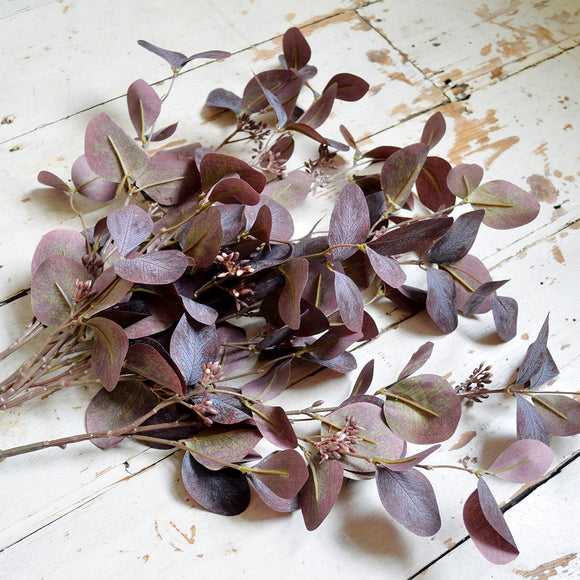 Autumnal Eucalyptus Stem (6584047960124)