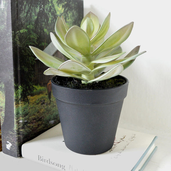 Small Faux Succulent in pot (4736876642364)