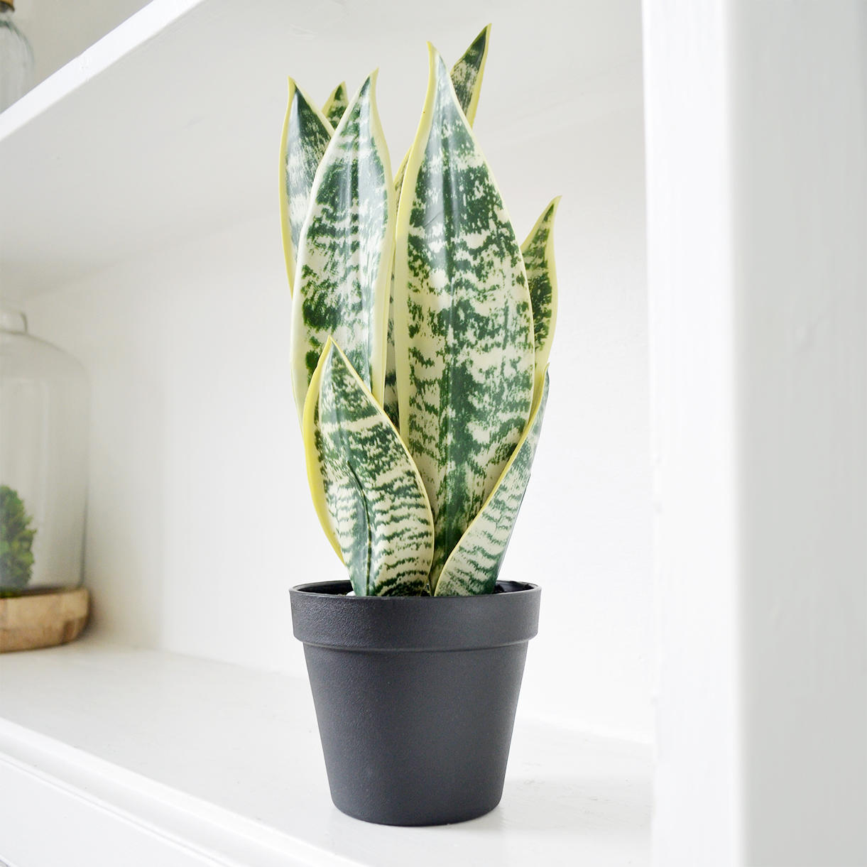 Buy Varigated Faux Snake plant in pot — The Worm that Turned ...