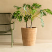 Saya Conic Terracotta Planter