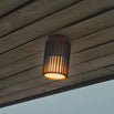 Aludra Outdoor Ceiling Light