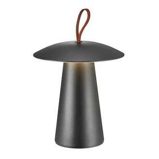 Ara To-Go 2 Portable Lamp