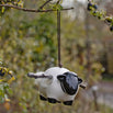 Hanging Sheep with Nesting Wool