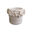 Botanical Planters