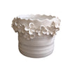 Botanical Planters