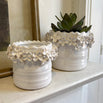 Botanical Planters