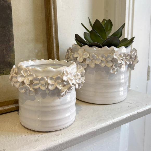 Botanical Planters