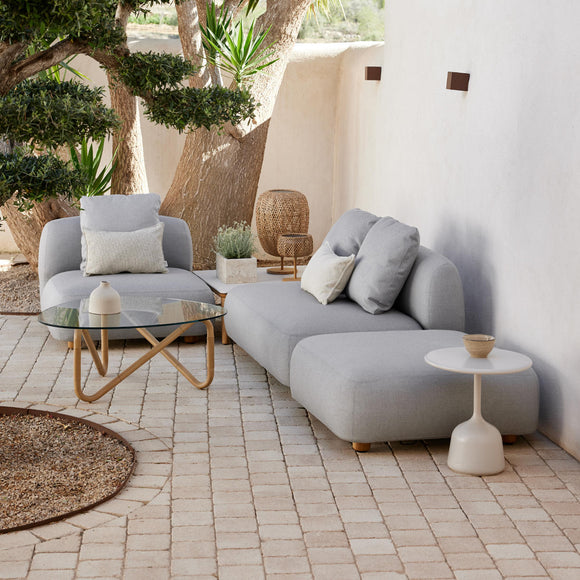 Capture Single Module