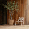 Saya Conic Terracotta Planter