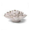 Ceramic Camelia Flower Ivory