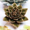 Ceramic Echeveria Olive Green Flower