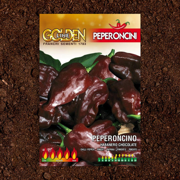 Chilli Chocolate Habanero