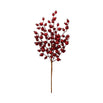 Christmas Cranberry Spray