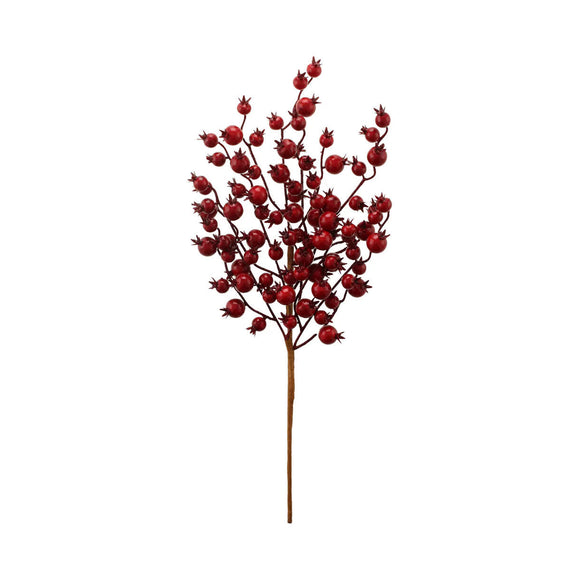 Christmas Cranberry Spray
