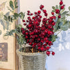 Christmas Cranberry Spray